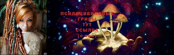 прущие грибы Верея