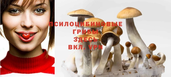 прущие грибы Верея