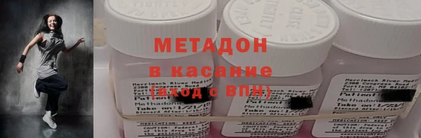 прущие грибы Верея