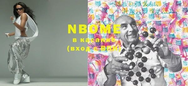 прущие грибы Верея